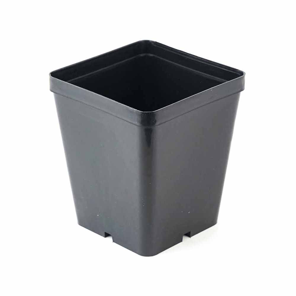 vaso quadro 12x12