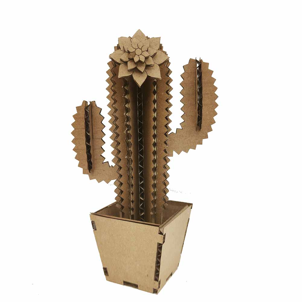 cactus di design