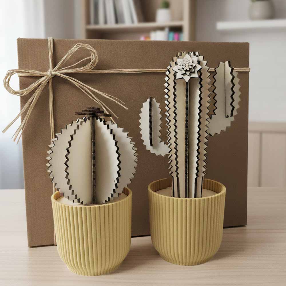 cofanetto regalo piante grasse in legno