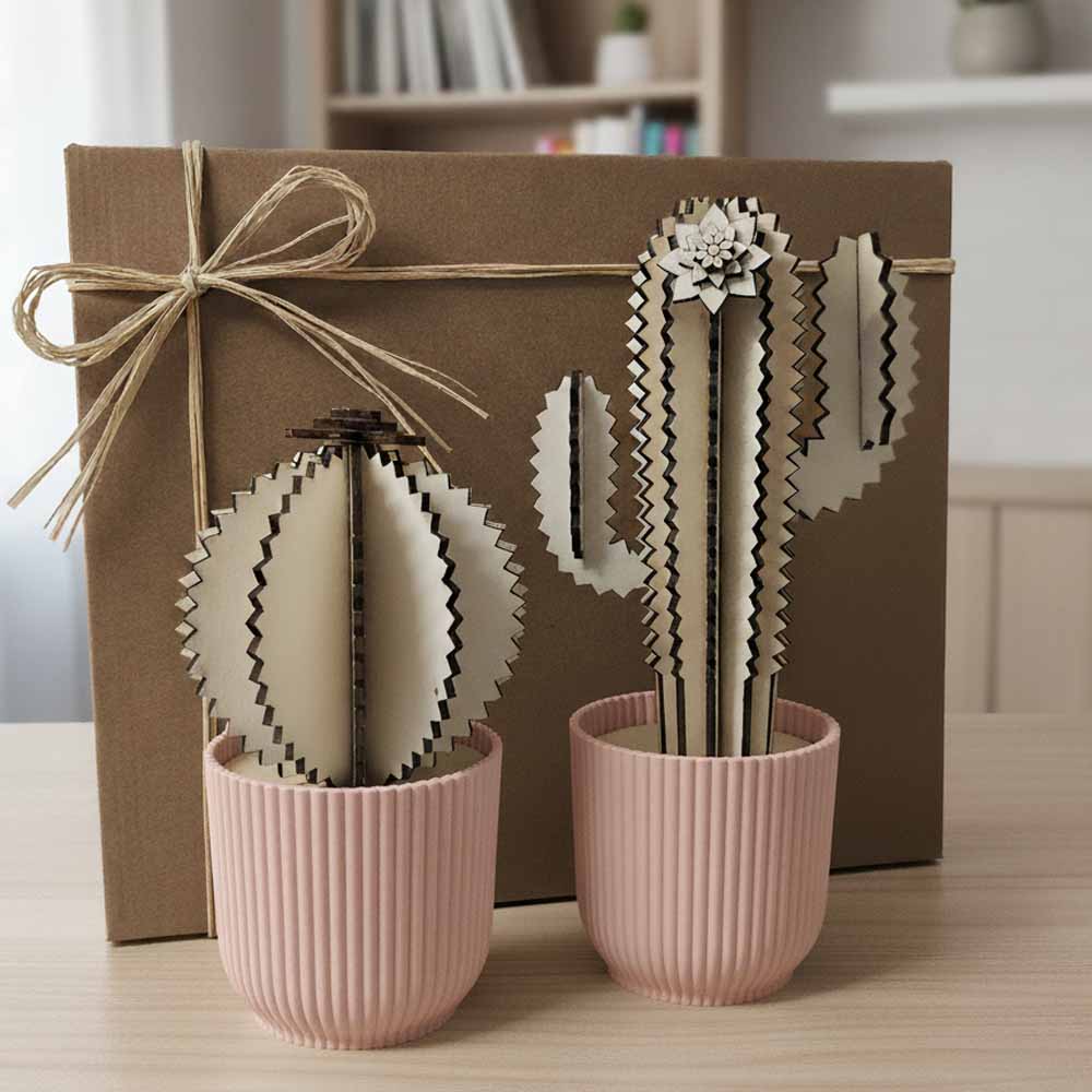 cofanetto regalo cactus di legno