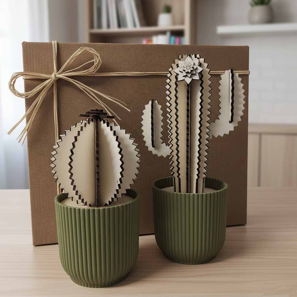 spilly cactus gift box cactus legno