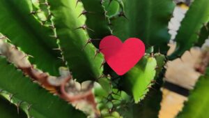 san valentino