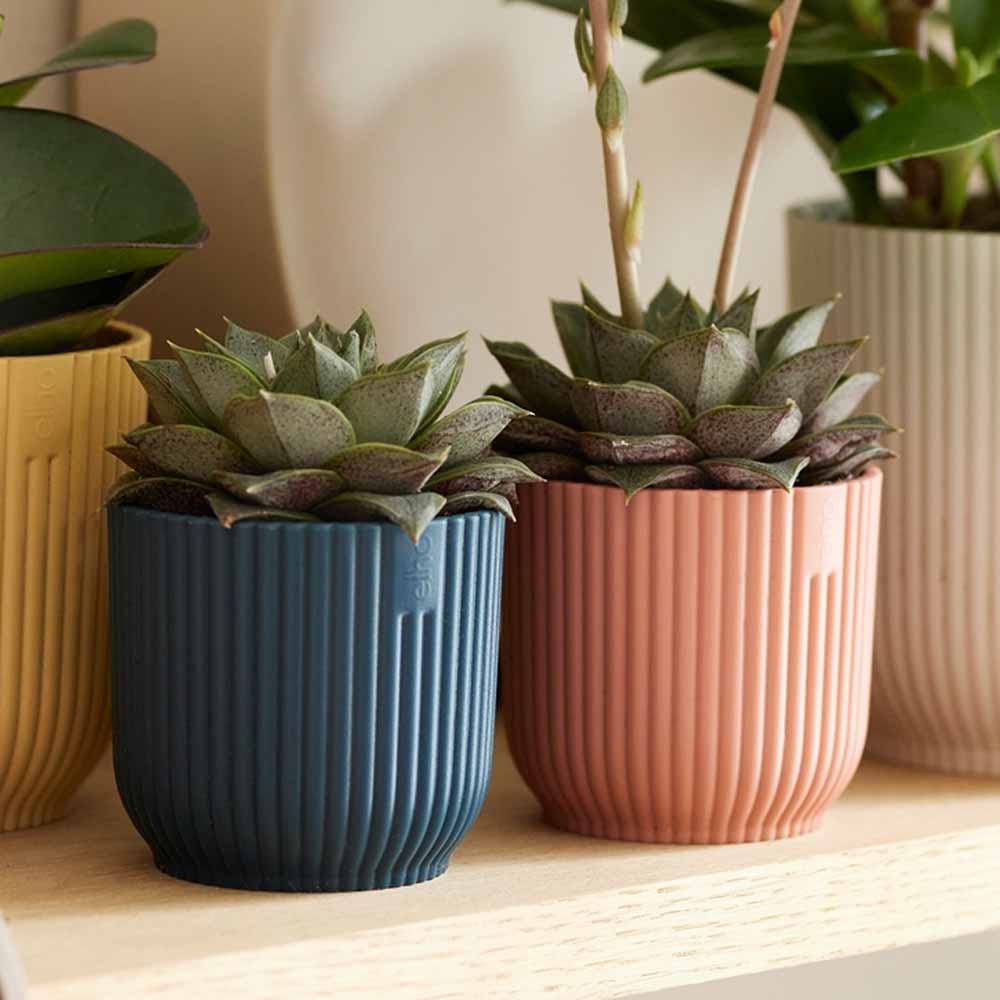 vaso vibes fold round mini