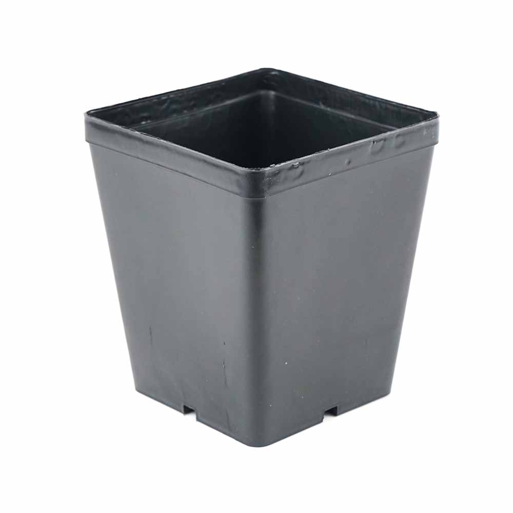 VASO OK
